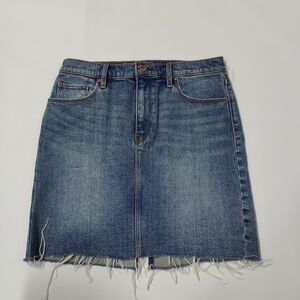 Hudson Women's Mini Skirt
